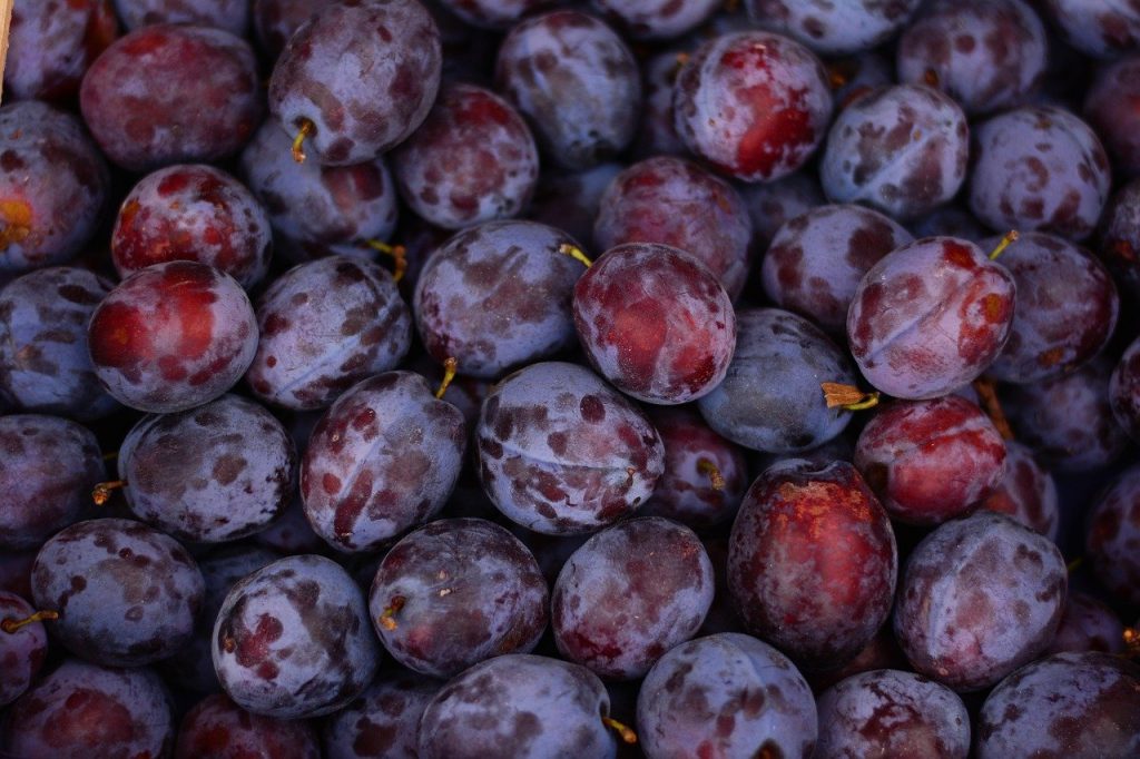 zwetschke obstgroßhandel